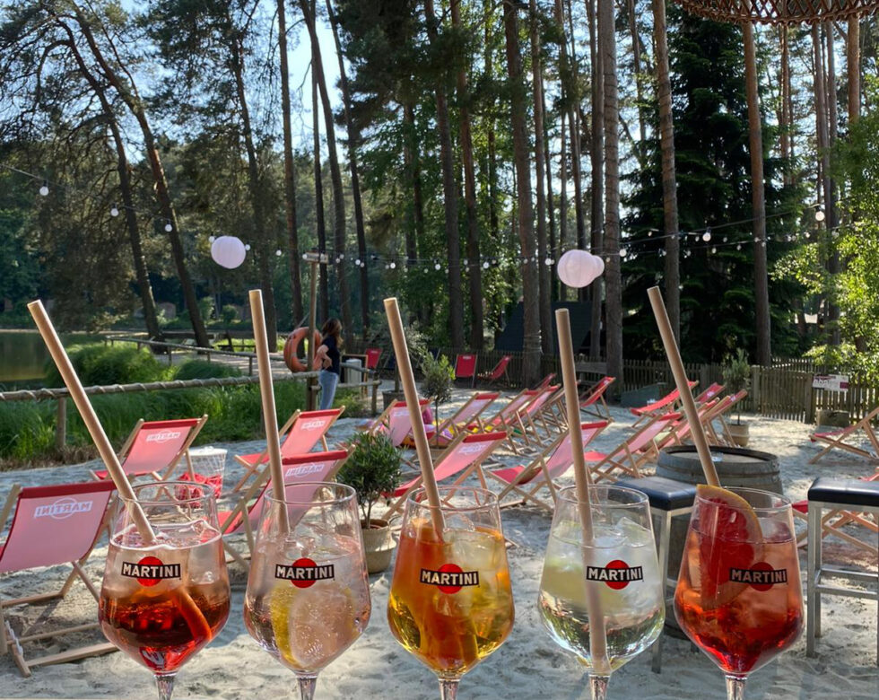Summer-Cocktails trinken in der Birkenheide